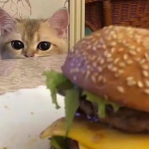 阿宾慧玉阿吉孟奔眼镜仔
