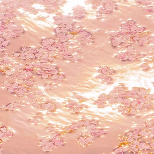 阿宾慧玉阿吉孟奔眼镜仔
