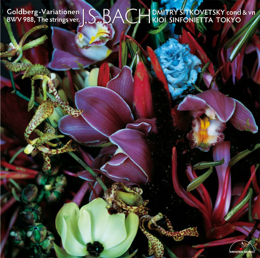 阿宾慧玉阿吉孟奔眼镜仔
